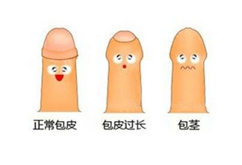 南京男性包皮过长，有多少